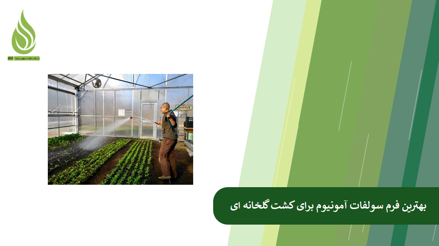 بهترین فرم سولفات آمونیوم برای گلخانه کدام است؟