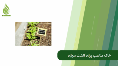 تصویر مناسب ترین خاک برای کاشت سبزی خوردن کدام است؟
