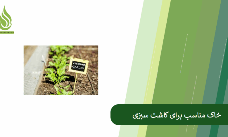 تصویر مناسب ترین خاک برای کاشت سبزی خوردن کدام است؟