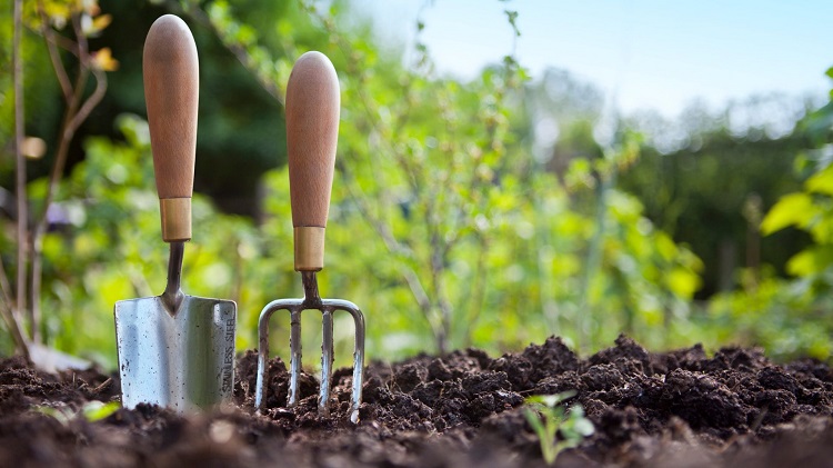 How to Prepare Soil for Growing Herbs and Greens