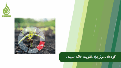 تصویر چگونه خاک اسیدی را با کود مناسب تقویت کنیم؟ راهنمای جامع و کاربردی