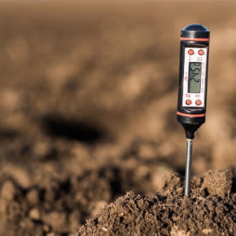 Long-Term Strategy: Turning Acidic Soil into Productive Ground