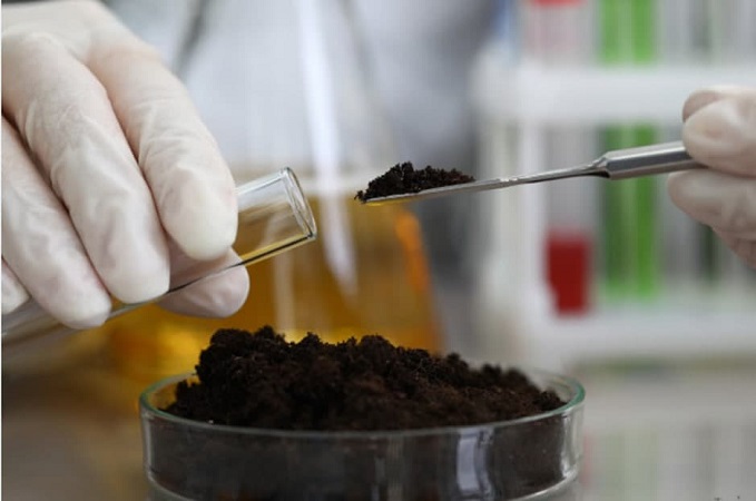 Ways to Test Soil pH