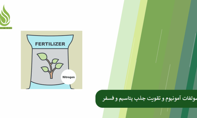 تصویر نقش سولفات آمونیوم در تقویت جذب پتاسیم و فسفر
