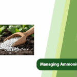 Managing Ammonium Sulfate Use