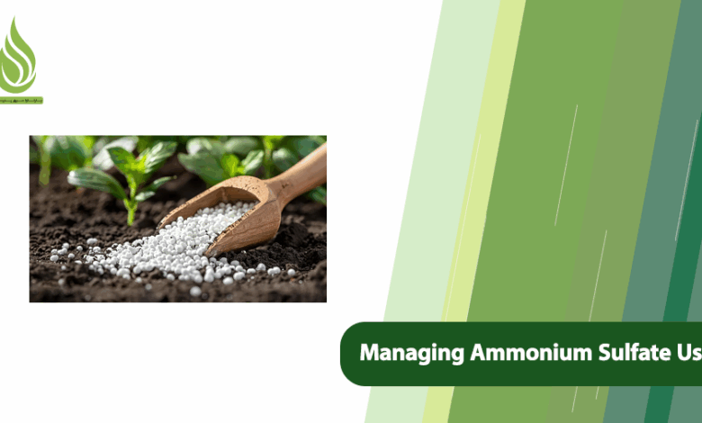 تصویر Managing Ammonium Sulfate Use to Prevent Groundwater Pollution