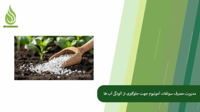 تصویر مدیریت مصرف سولفات آمونیوم برای جلوگیری از آلودگی آب های زیرزمینی