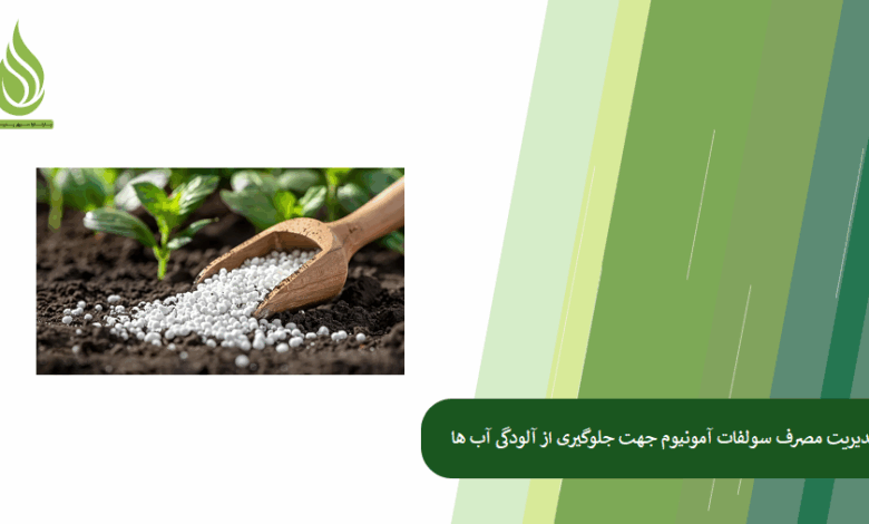 تصویر مدیریت مصرف سولفات آمونیوم برای جلوگیری از آلودگی آب های زیرزمینی