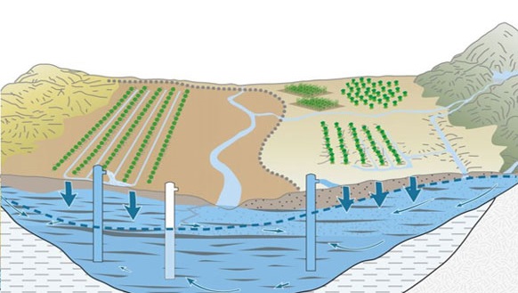 Ammonium Sulfate: A Versatile Fertilizer for Crop Nutrition