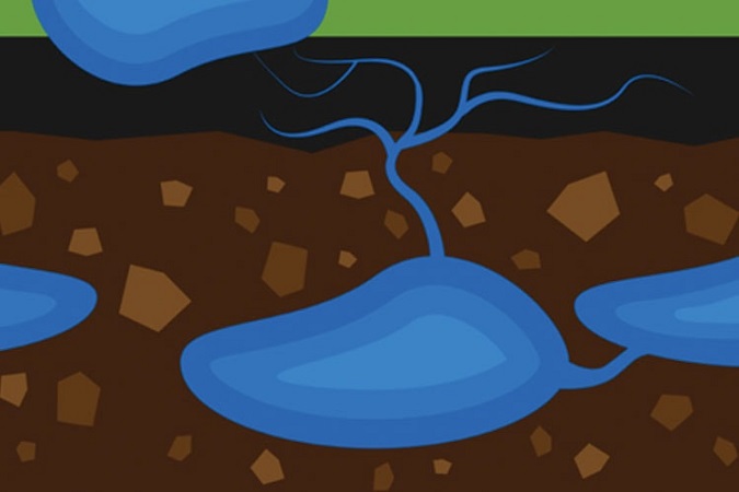Factors Contributing to Groundwater Pollution