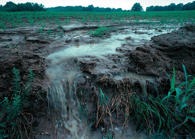 Strategies for Managing Ammonium Sulfate Use
