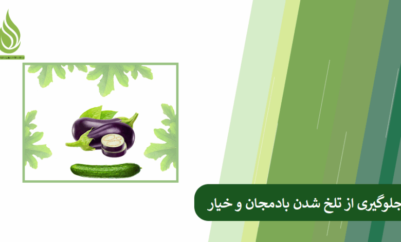تصویر دلایل تلخی خیار و بادمجان و روش های جلوگیری از آن