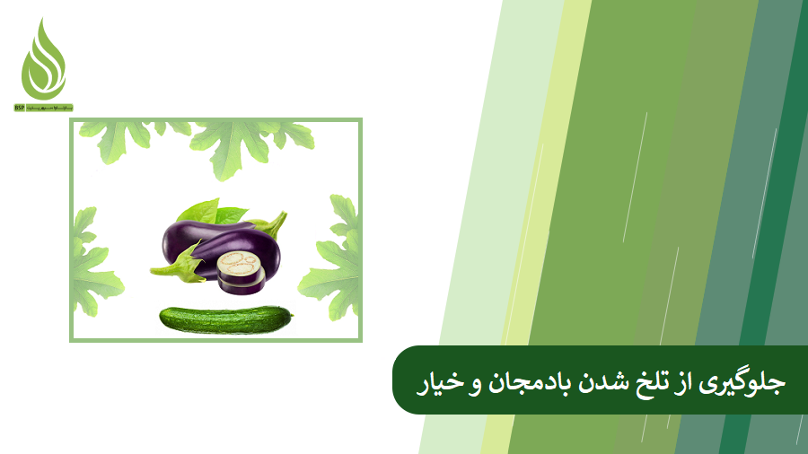 بررسی دلایل تلخی بادمجان و خیار