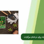 معرفی بهترین کود نیتروژنه برای مرکبات