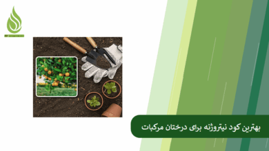 تصویر کدام کود نیتروژنه برای مرکبات بهتر است؟ (اوره، نیترات آمونیوم یا سولفات آمونیوم)