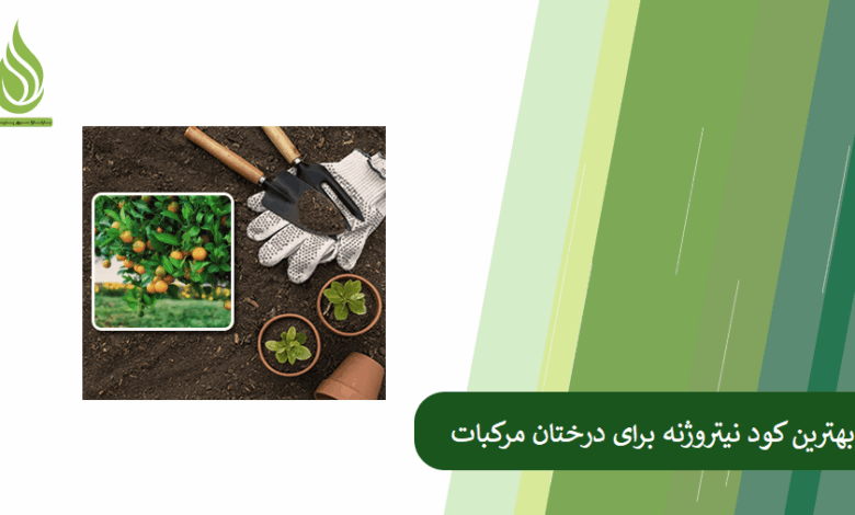 تصویر کدام کود نیتروژنه برای مرکبات بهتر است؟ (اوره، نیترات آمونیوم یا سولفات آمونیوم)