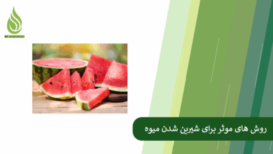 تصویر چرا میوه ها بی مزه می شوند؟ (بررسی روش های موثر برای شیرین شدن میوه)