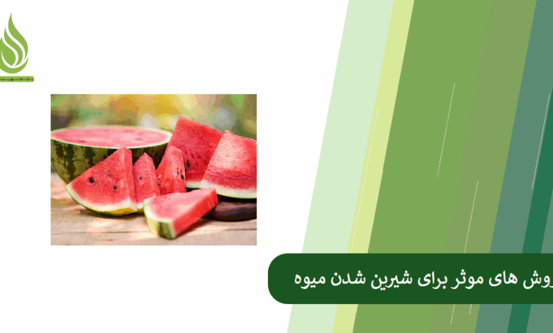 تصویر چرا میوه ها بی مزه می شوند؟ (بررسی روش های موثر برای شیرین شدن میوه)