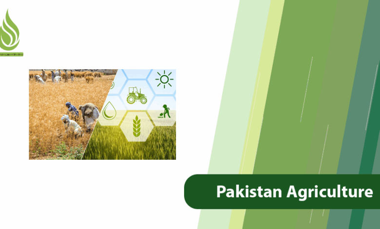 تصویر Agriculture in Pakistan Faces Several Major Challenges!