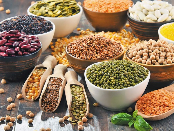 تاثیر نیتروژن بر پروتئین حبوبات 3