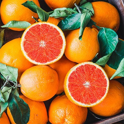 Winter Care: The Hidden Key to Next Season's Juicy Harvests