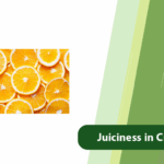 Juiciness in citrus fruits