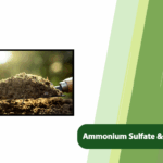 Ammonium Sulfate and Animal Manure