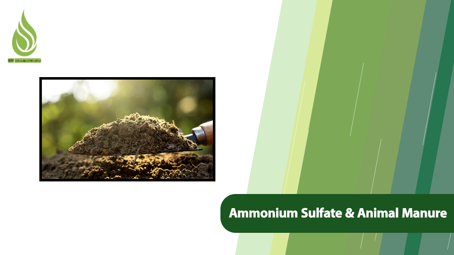Ammonium Sulfate and Animal Manure