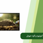 همه چیز درباره ترکیب سولفات آمونیوم و کود حیوانی