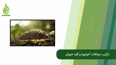 تصویر چگونه ترکیب سولفات آمونیوم و کود حیوانی می تواند خاک ضعیف را احیا کند؟