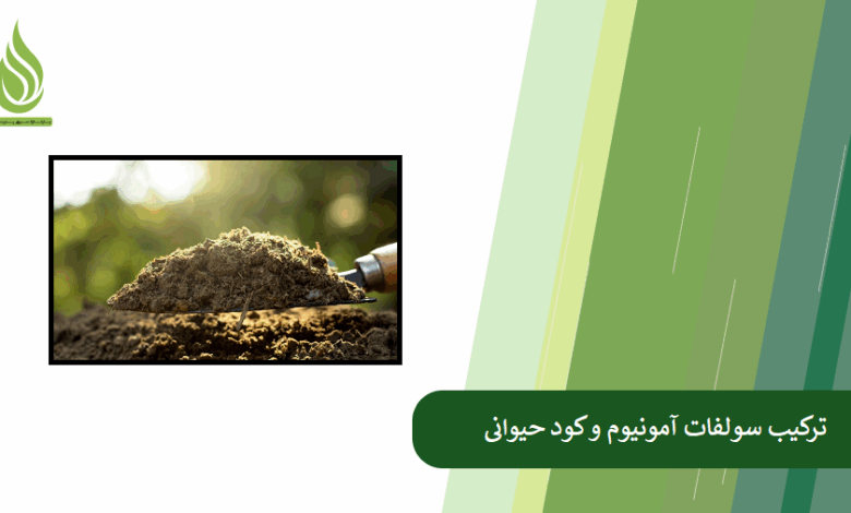 تصویر چگونه ترکیب سولفات آمونیوم و کود حیوانی می تواند خاک ضعیف را احیا کند؟