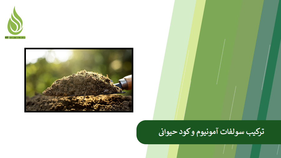 همه چیز درباره ترکیب سولفات آمونیوم و کود حیوانی