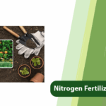 Nitrogen for Citrus