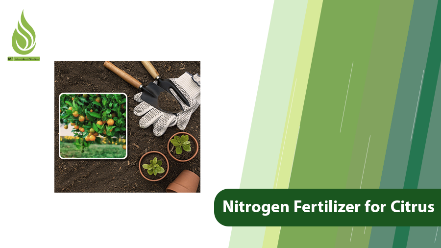 Nitrogen for Citrus