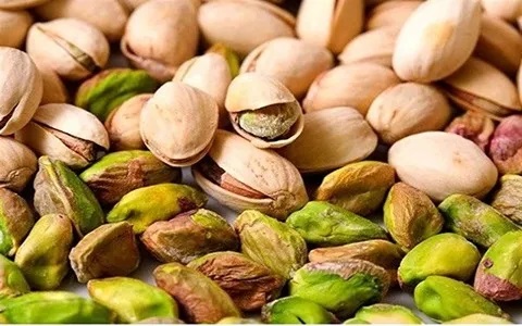 کوددهی پسته 2