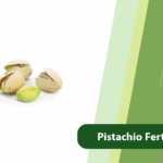 Pistachio Fertilization
