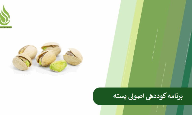 تصویر برنامه کوددهی اصولی پسته (چه کودی در هر مرحله رشد درخت پسته لازم است؟)
