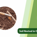 Soil Revival in Old Orchards