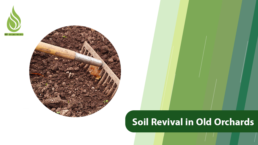 Soil Revival in Old Orchards