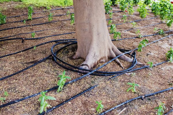 Managing Irrigation and Soil Moisture