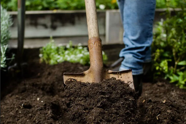 What Is Soil Revival, and Why Is It Essential?