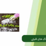 نکات مهم در تقویت خاک قلیایی