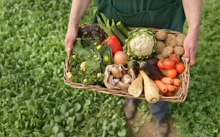 بررسی ویژگی های کود مرغوب و با کیفیت