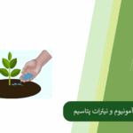 همه چیز درباره مقایسه سولفات آمونیوم و نیترات پتاسیم