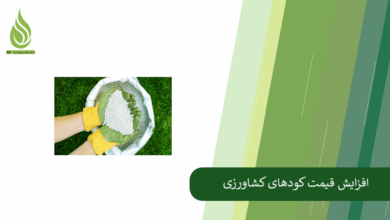 تصویر افزایش قیمت کودهای کشاورزی؛ زنگ خطر برای تولید و امنیت غذایی کشور
