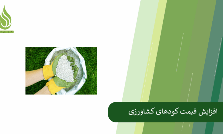 تصویر افزایش قیمت کودهای کشاورزی؛ زنگ خطر برای تولید و امنیت غذایی کشور