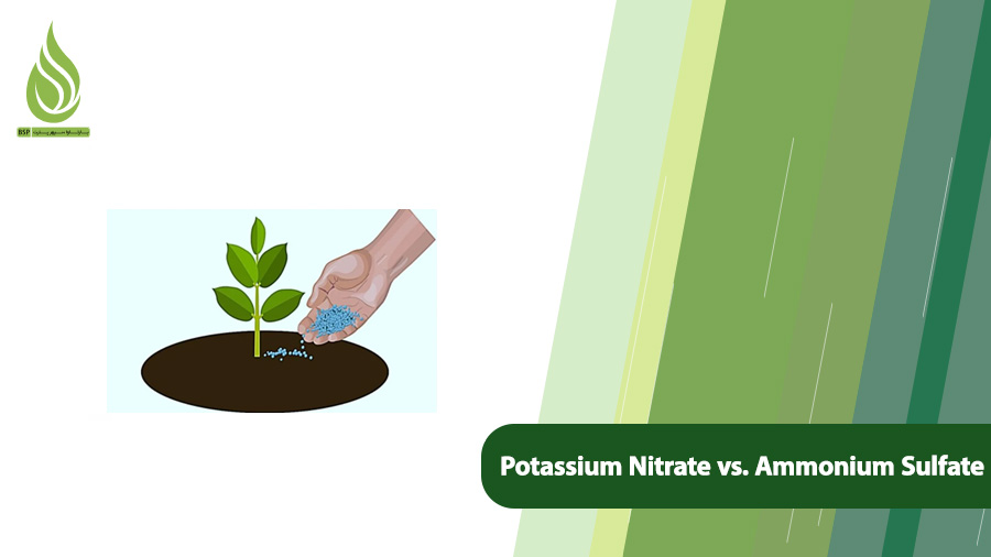 Potassium Nitrate vs Ammonium Sulfate