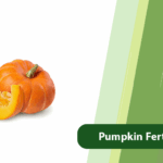 Pumpkin Fertilization