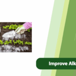 Improve Alkaline Soil