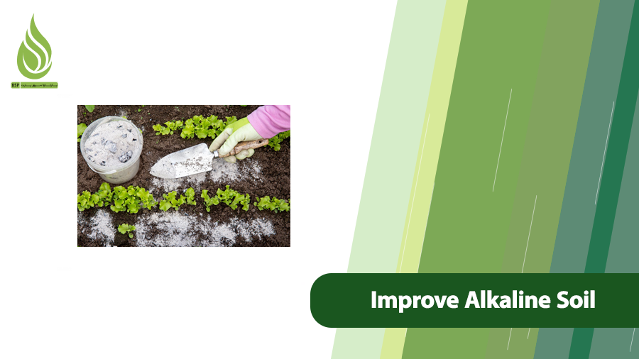 Improve Alkaline Soil